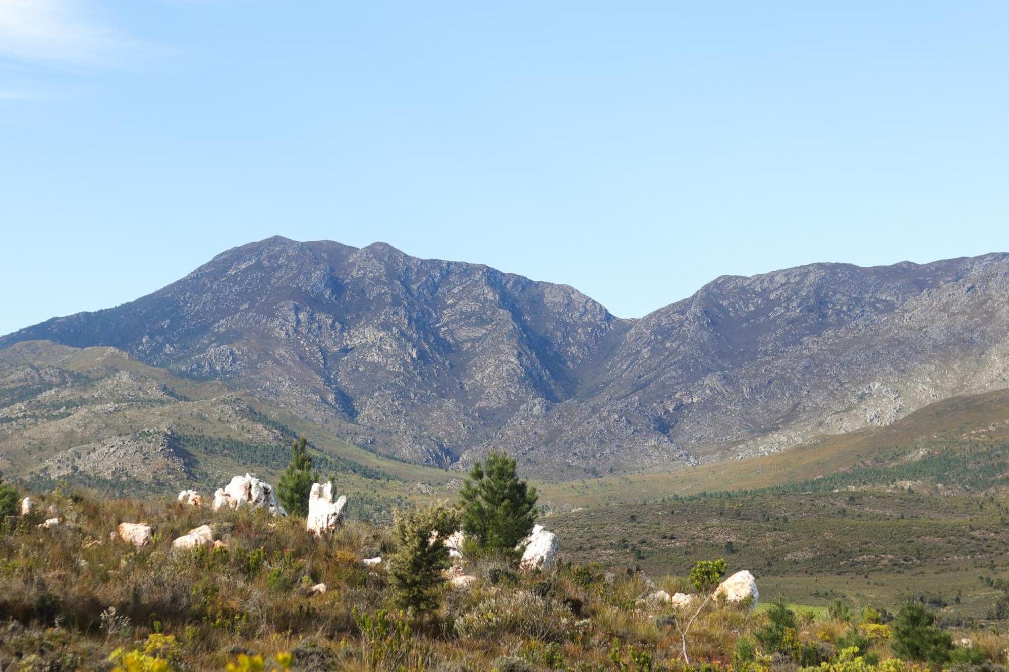 Avani Lodge Private Nature Reserve Botrivier Exterior photo
